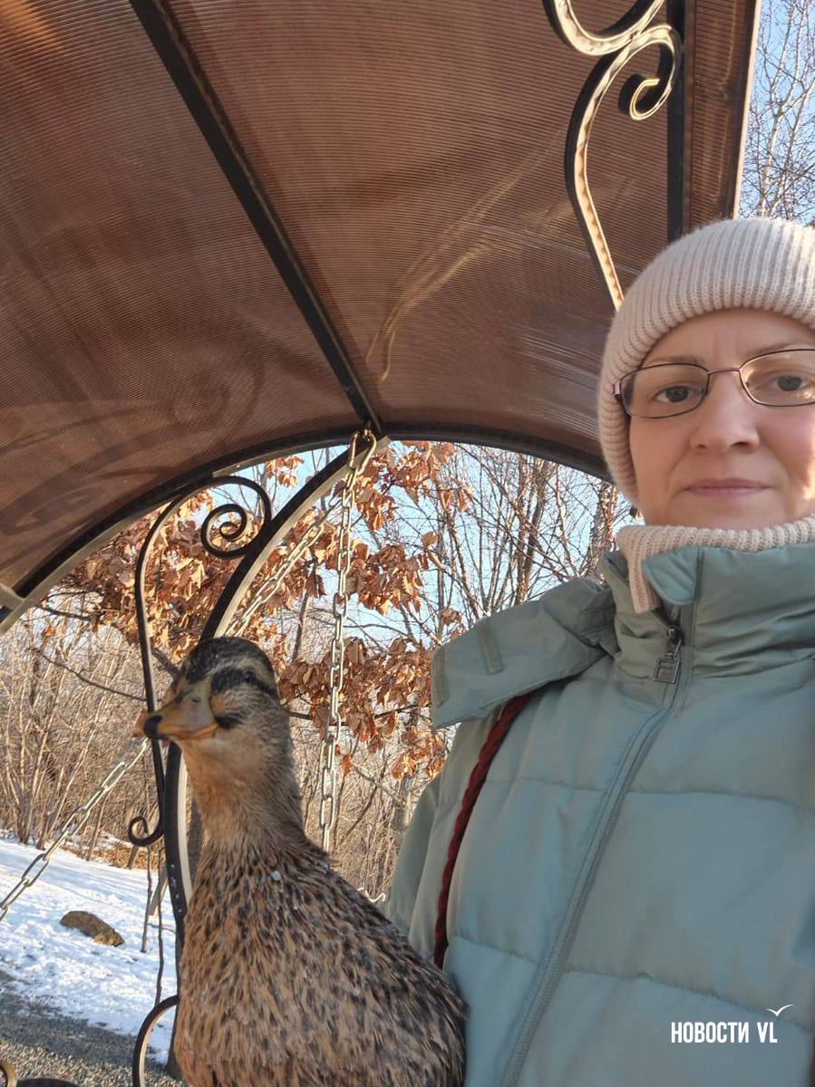 Трёх засидевшихся и перекормленных в Солёной протоке уток местные жители отвезли в зоопарк Трёх засидевшихся и перекормленных в Солёной протоке уток местные жители отвезли в зоопарк