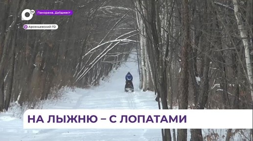 В Арсеньеве лыжный клуб «Синегорье» совершенствует лесные трассы