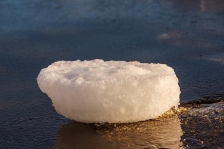 В Приморье потеплеет: ожидается температура до -6°C