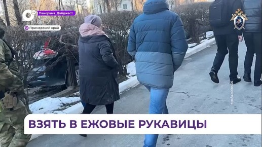 В Приморье возбуждено уголовное дело о контрабанде морского ежа
