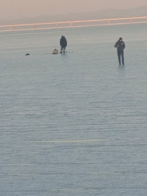 На Океанской заметили первых рыбаков на льду