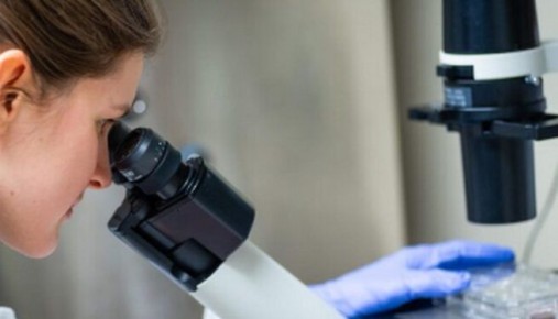 В Приморье учёные ДВО РАН обнаружили в морской бактерии вещество, способное уничтожать клетки рака крови, не повреждая при этом здоровые