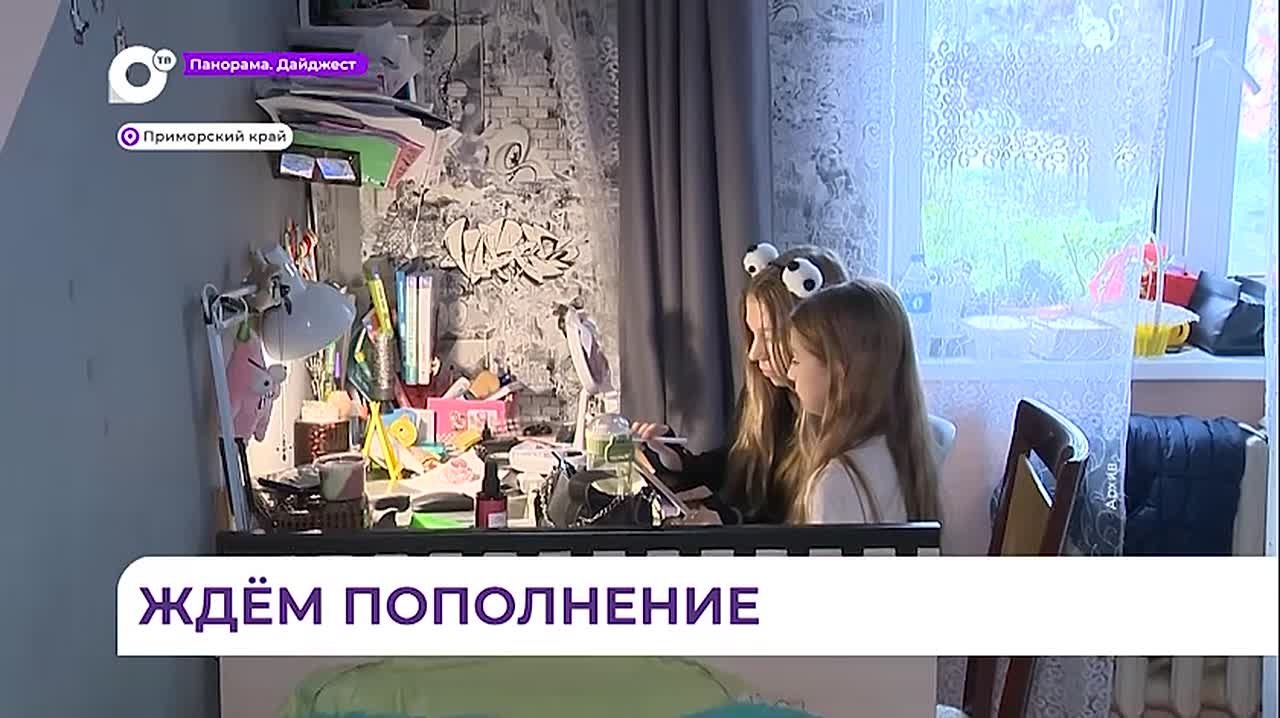 В Приморье идёт работа по усовершенствованию поддержки семей с детьми