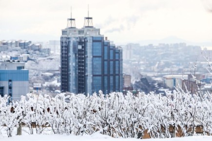 Доброе утро, Владивосток. Днём небольшая облачность