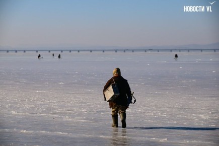 Буквально за пару морозных ночей на море у берегов Владивостока начал вставать лёд