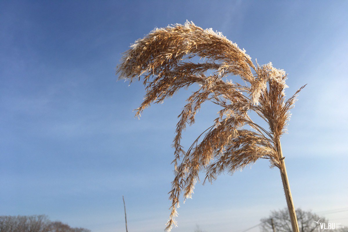 В субботу и воскресенье, 6 и 7 декабря, во Владивостоке будет довольно тепло, до +5 °C. В конце дня в воскресенье возможны осадки