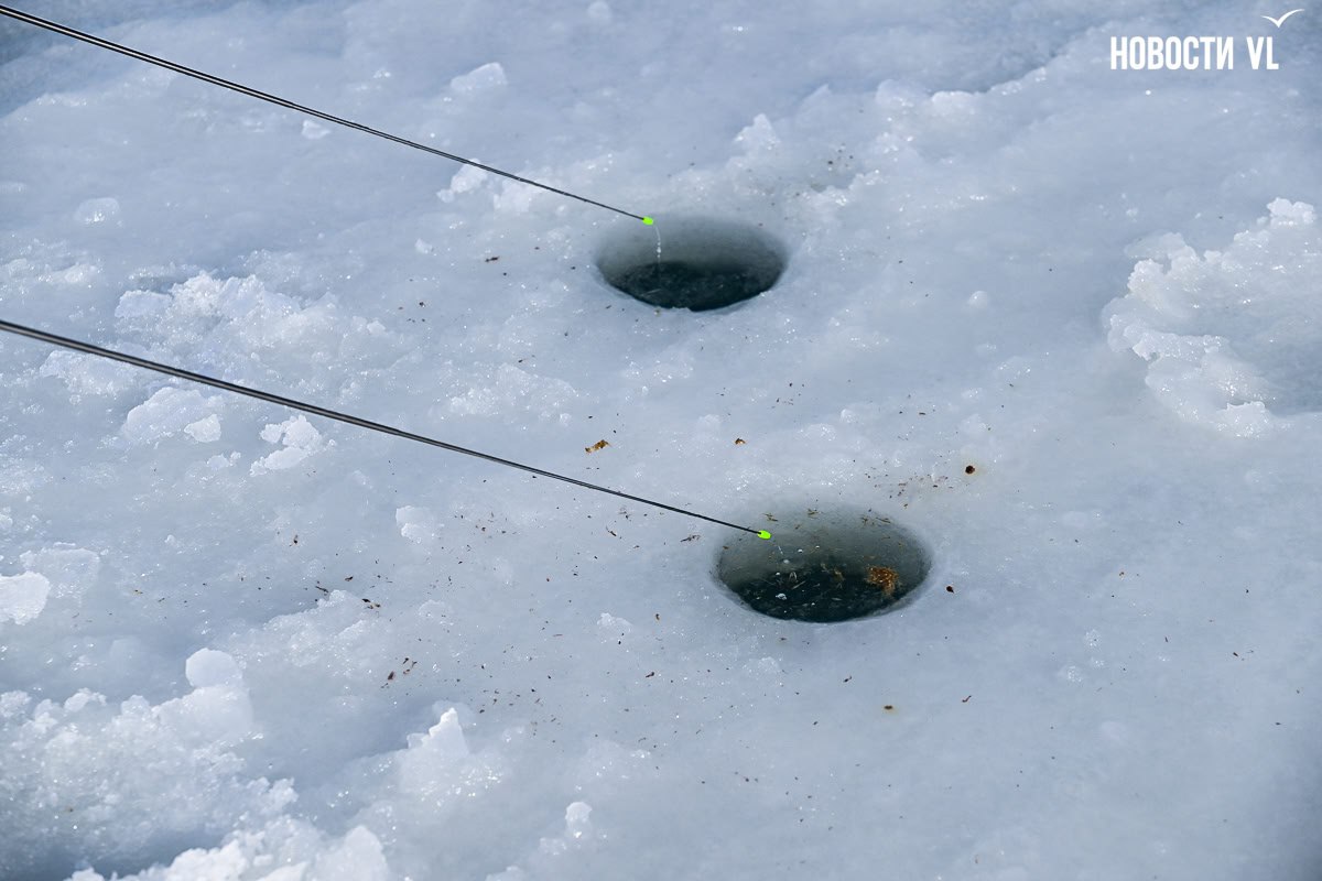 Буквально за пару морозных ночей на море у берегов Владивостока начал вставать лёд Буквально за пару морозных ночей на море у берегов Владивостока начал вставать лёд
