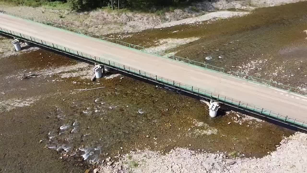 «Всего на территории Приморья 1616 мостов, часть из которых находится в аварийном состоянии, так как большинство из них построено в 50-е – 60-е годы прошлого столетия с учётом актуальных на то время нагрузок. Количество...