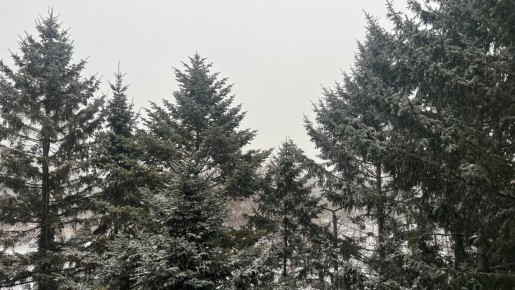 Доброе утро, Уссурийск!. Сегодня пятница, 5 декабря - в России отмечается День волонтёра