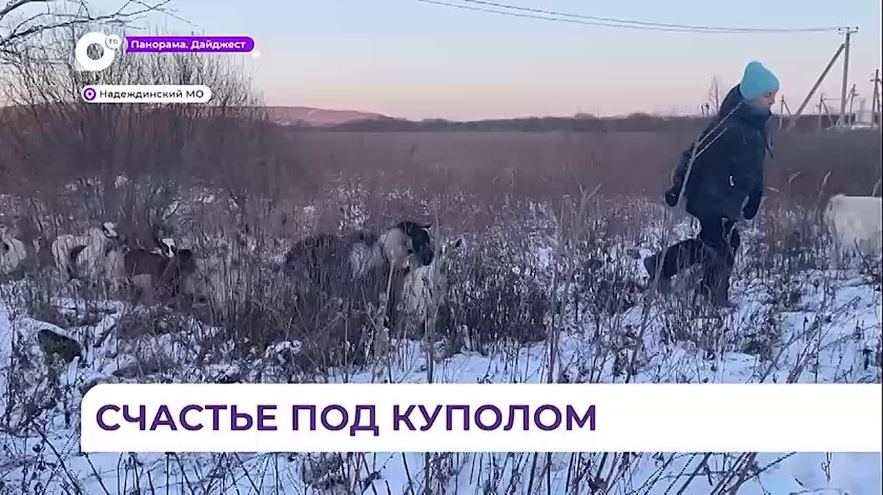 Для семьи Столяровых программа «Дальневосточный гектар» стала дверью в новую жизнь