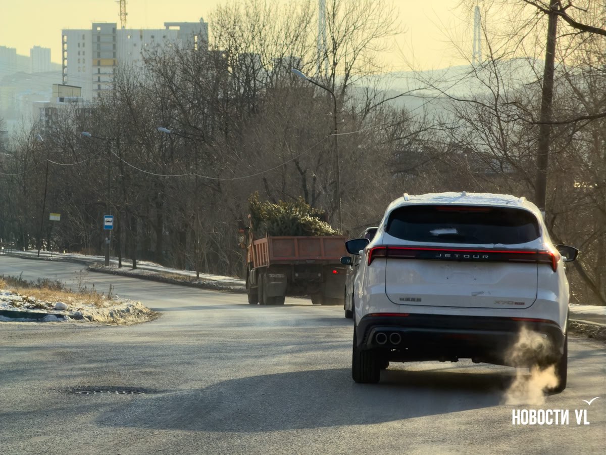 Во Владивостоке разворачивается нелегальная торговля ёлками – первые 145 деревьев уже изъяли Во Владивостоке разворачивается нелегальная торговля ёлками – первые 145 деревьев уже изъяли