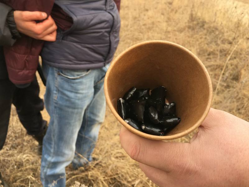 Сотрудники подразделений по контролю за оборотом наркотиков приморской полиции отмечают профессиональный праздник Сотрудники подразделений по контролю за оборотом наркотиков приморской полиции отмечают профессиональный праздник