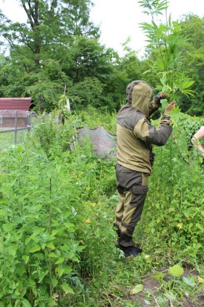 Сотрудники подразделений по контролю за оборотом наркотиков приморской полиции отмечают профессиональный праздник Сотрудники подразделений по контролю за оборотом наркотиков приморской полиции отмечают профессиональный праздник