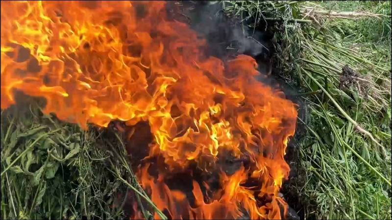 Сотрудники подразделений по контролю за оборотом наркотиков приморской полиции отмечают профессиональный праздник Сотрудники подразделений по контролю за оборотом наркотиков приморской полиции отмечают профессиональный праздник