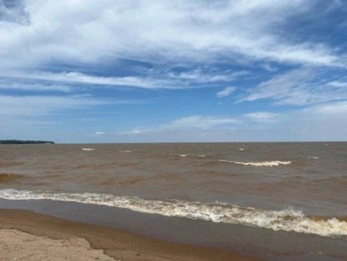 В Приморье обнаружили опасную тропическую микроводоросль