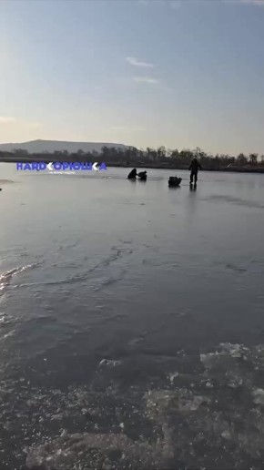 Как говорится, сезон открыт