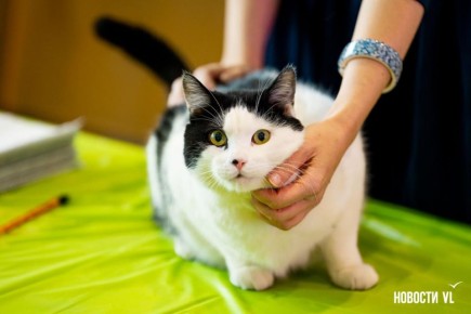 Доброе утро, Владивосток!. Сегодня воскресенье, 7 декабря