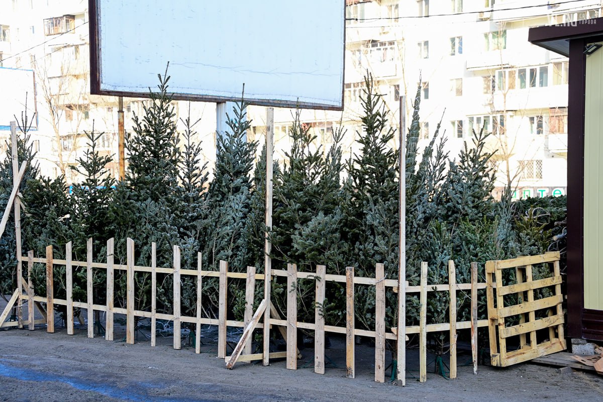 Во Владивостоке появились первые «новогодние» нарушители