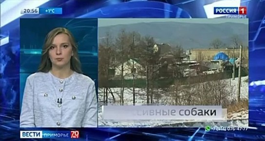 Новости Приморья коротко. Переходи на наш канал в МАХ