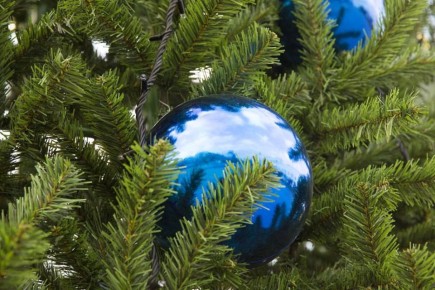 Предпринимателей Владивостока приглашают принять участие в конкурсе на лучшее художественное оформление входной зоны к Новому году и Рождеству