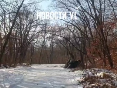 Сегодня свалка автопокрышек на Варяге стала ещё больше