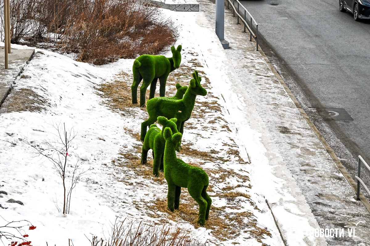 Широкие тротуары, качели и теневые навесы — подрядчик заканчивает благоустройство сквера на Некрасовской Широкие тротуары, качели и теневые навесы — подрядчик заканчивает благоустройство сквера на Некрасовской