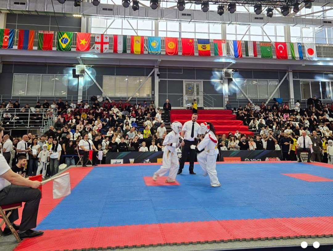 Приморские спортсмены завоевали 24 медали на международном турнире по киокусинкай в Хабаровске Приморские спортсмены завоевали 24 медали на международном турнире по киокусинкай в Хабаровске