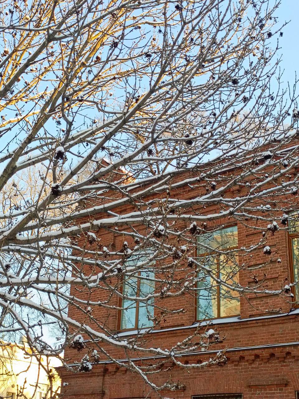 Доброе утро, Уссурийск!. Сегодня понедельник, 8 декабря — и по всему миру отмечают День художника