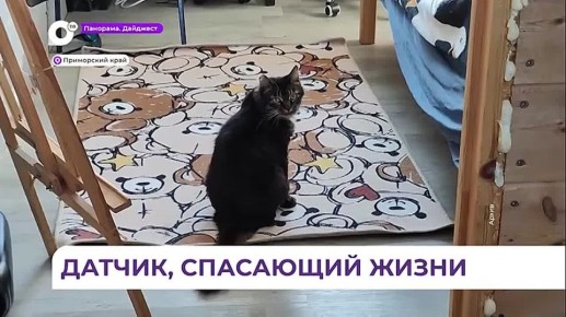 Деревянные дома жителей островов Приморья оснащают дымовыми датчиками