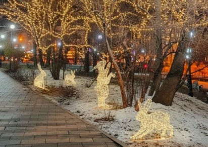 Студенты Владивостока предложили креативные идеи для новогоднего украшения скверов и парков