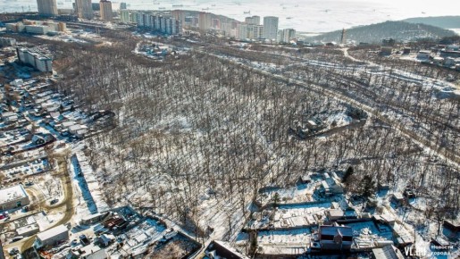 Промышленную зону Тихвинского леса до сих пор не изменили на рекреацию – без этого благоустройства не будет