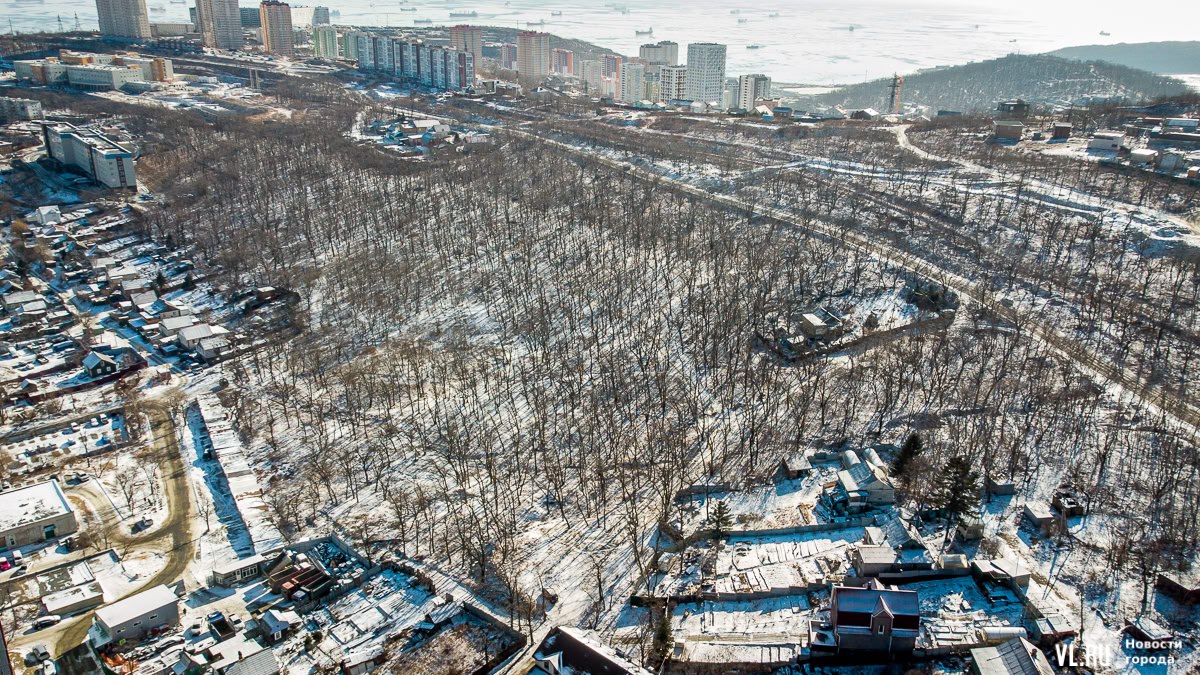 Промышленную зону Тихвинского леса до сих пор не изменили на рекреацию – без этого благоустройства не будет