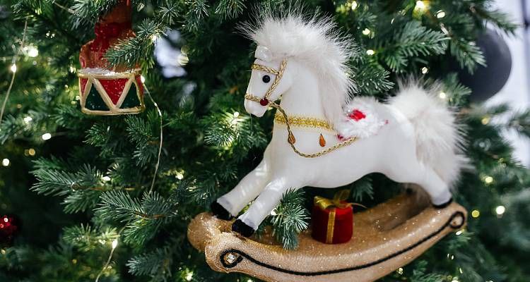 В новогодние праздники в Приморье состоится более 80 культурных мероприятий