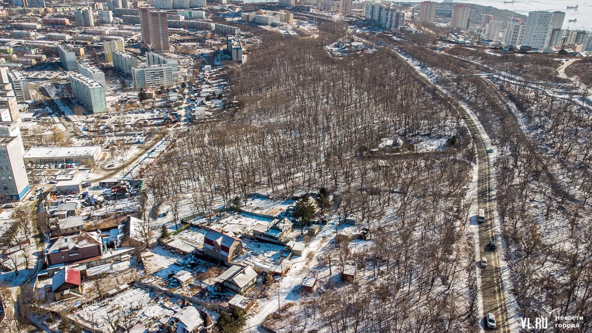 Промышленную зону Тихвинского леса до сих пор не изменили на рекреацию – без этого благоустройства не будет Промышленную зону Тихвинского леса до сих пор не изменили на рекреацию – без этого благоустройства не будет