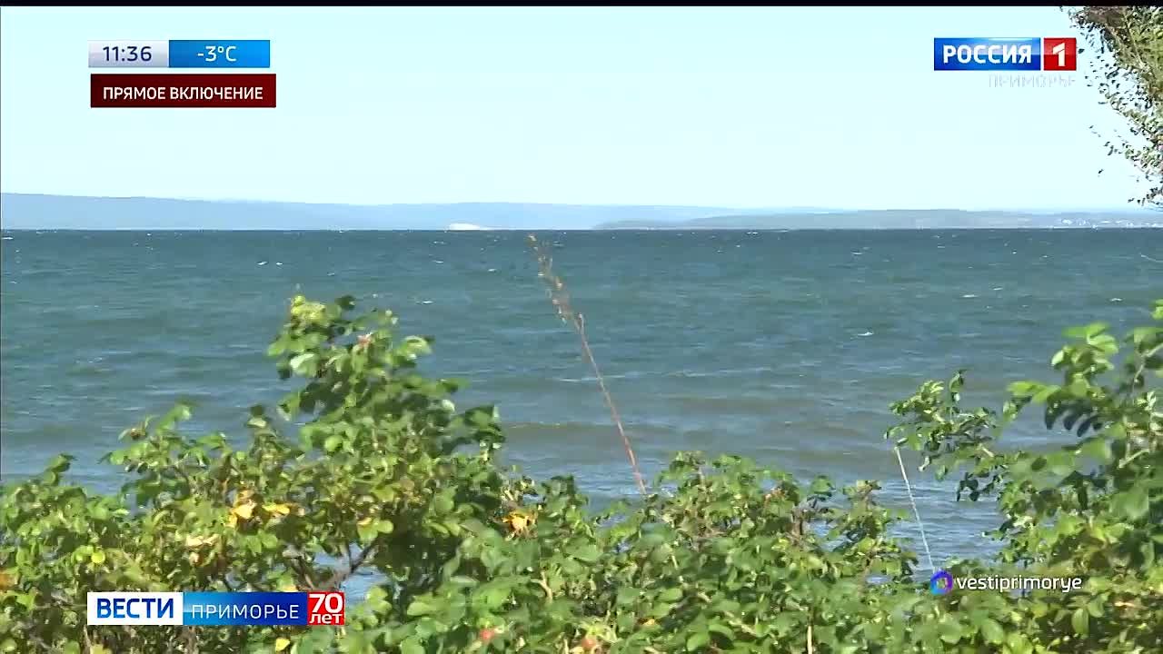 Экс-глава крупной компании в Приморье «крышевал» стройки и зарабатывал миллионы ...