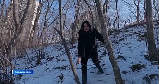 Во Владивостоке пытаются спасти троицу не улетевших на зимовку уток-мандаринок