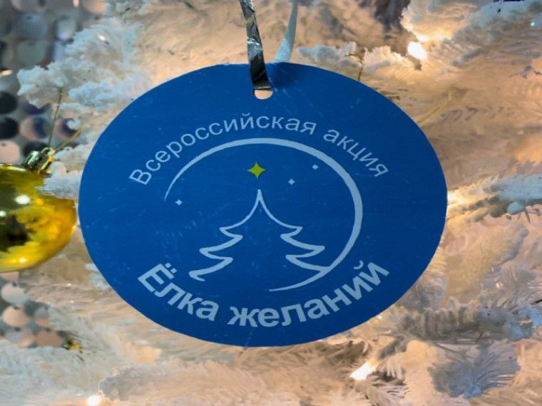 Приморье присоединится к Всероссийской благотворительной акции «Елка желаний»