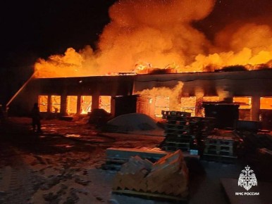 В Находке минувшей ночью сгорел склад деревообрабатывающего предприятия