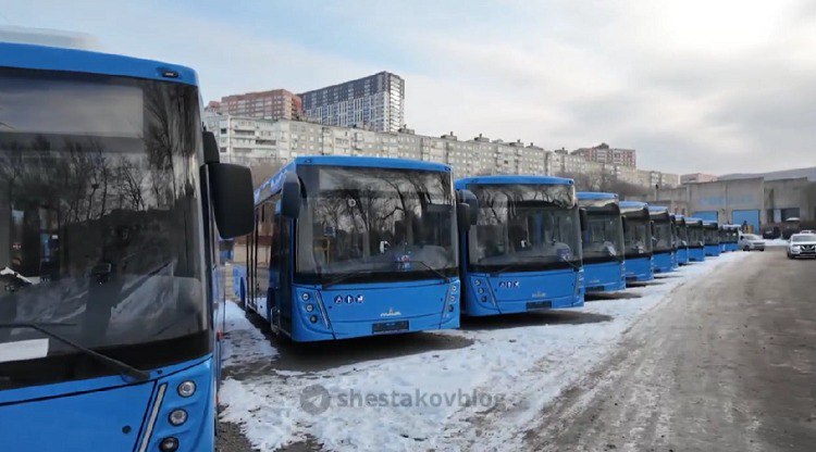 Владивостокское предприятие «ВПОПАТ №1» получило 14 новых белорусских автобусов завода МАЗ