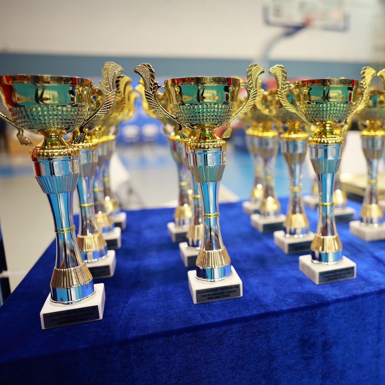 В спорткомплексе «Олимпиец» прошла торжественная церемония награждения юных приморских спортсменов, отличившихся на международных и всероссийских стартах В спорткомплексе «Олимпиец» прошла торжественная церемония награждения юных приморских спортсменов, отличившихся на международных и всероссийских стартах