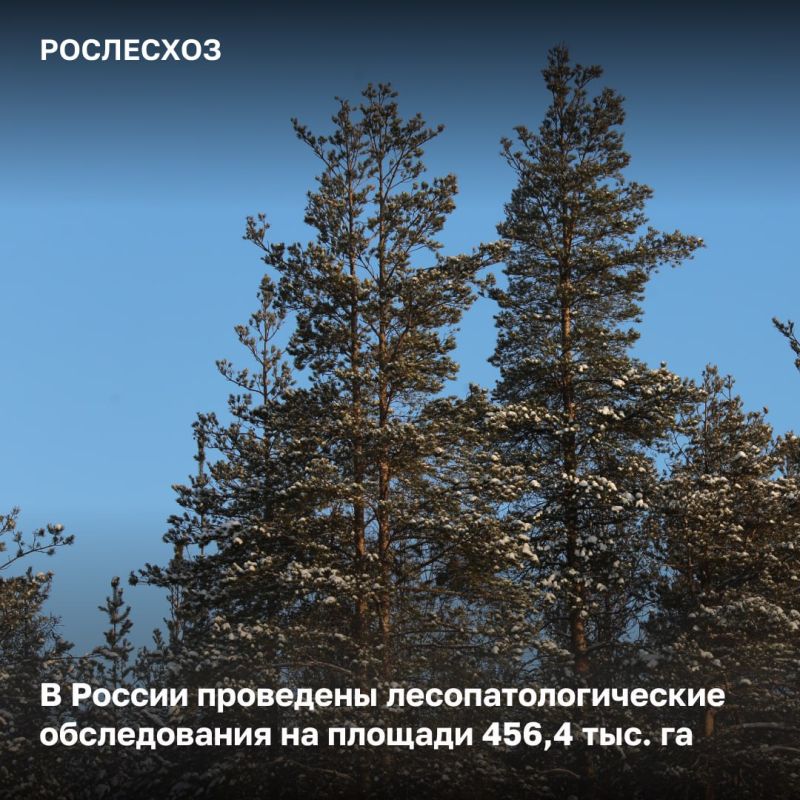 В большинстве регионов ведется приемка выполненных работ