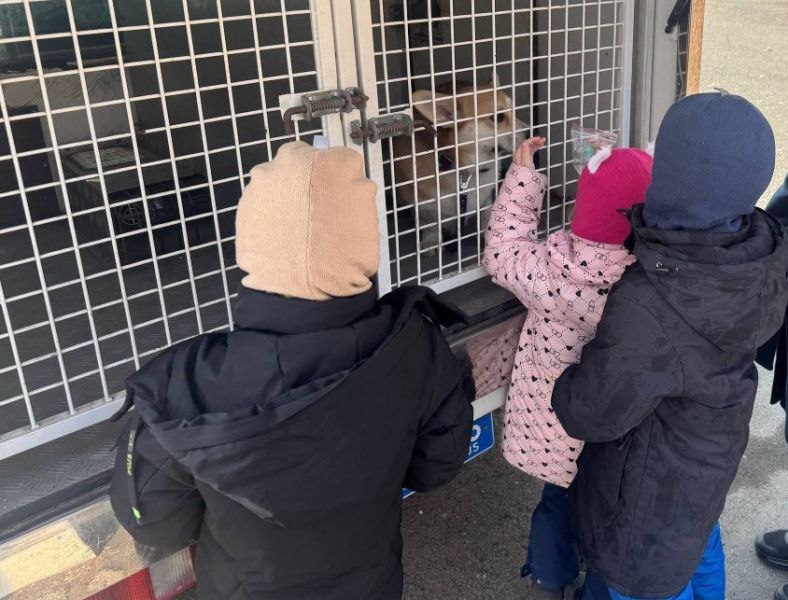 Во Владивостоке сотрудники центра кинологической службы познакомили детей с ограниченными возможностями со своей профессией Во Владивостоке сотрудники центра кинологической службы познакомили детей с ограниченными возможностями со своей профессией