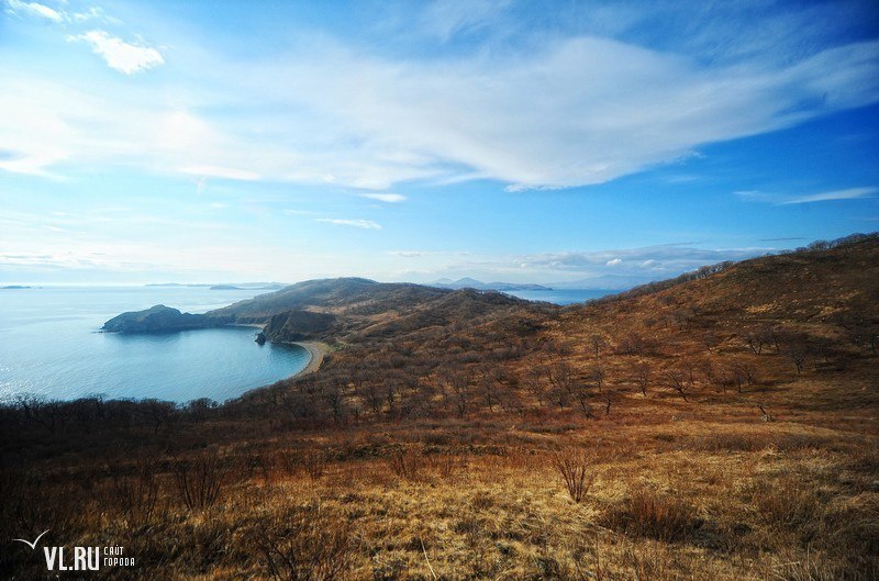 Родственники экс-главы Фокино не смогли оспорить решение об аренде 606 гектаров на острове Путятина