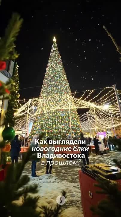 Как изменилась главная елка Владивостока за 65 лет
