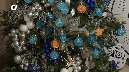 Благотворительная акция «Елка желаний» пройдёт в Приморье