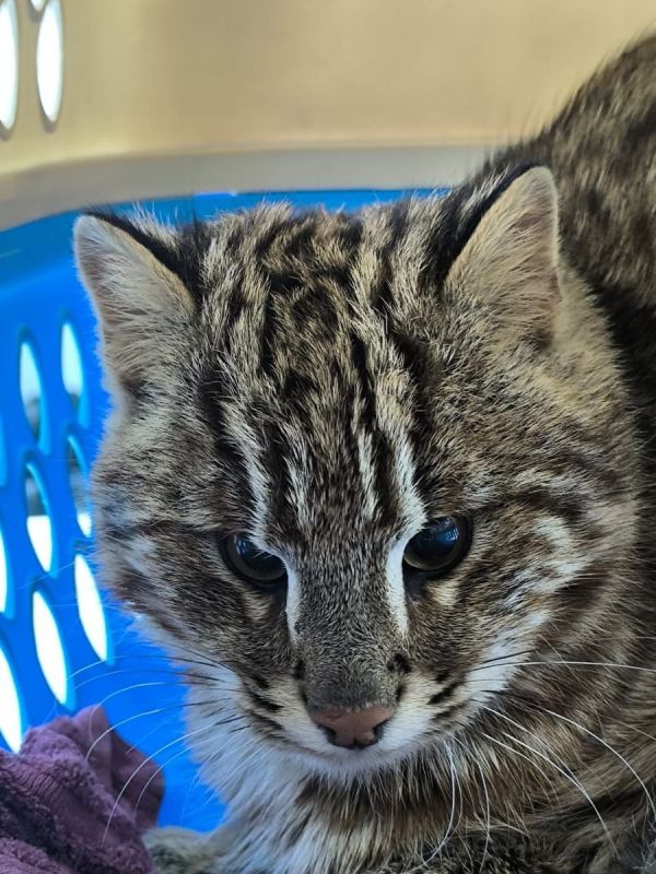 ���������������� ���� ����� ������ �� ������