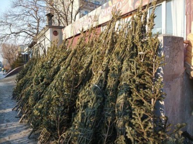 Во Владивостоке увеличат штрафы за незаконную торговлю