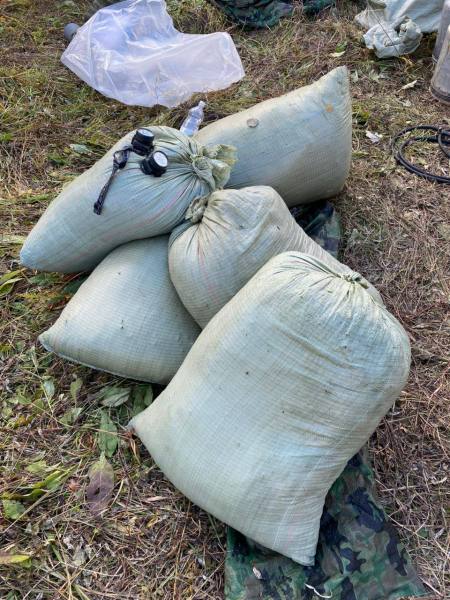 В Приморском крае осуждены двое мужчин за хранение марихуаны в особо крупном размере В Приморском крае осуждены двое мужчин за хранение марихуаны в особо крупном размере