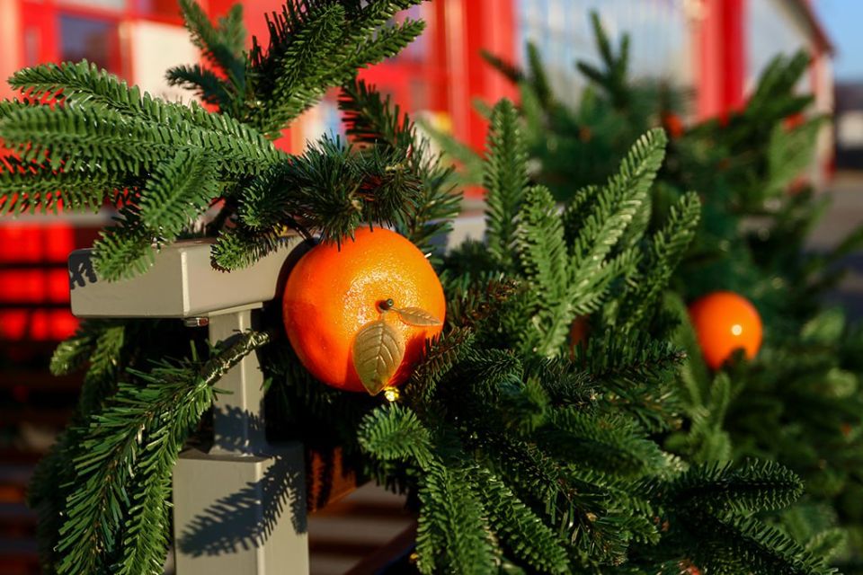 Праздничная Находка в фотоснимках Татьяны Невежиной