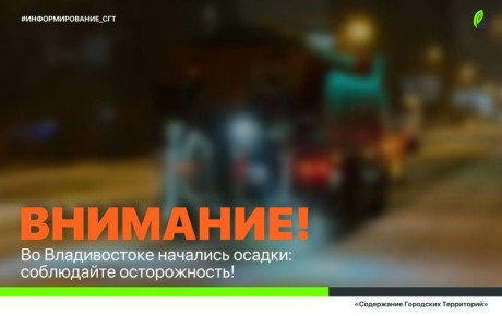 Во Владивостоке начался снег